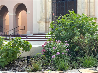 Sunken-Garden-Courtyard-Flowers